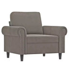 vidaXL Sofa Chair Light Gray Velvet (100% polyester), Plywood, Metal, Foam
