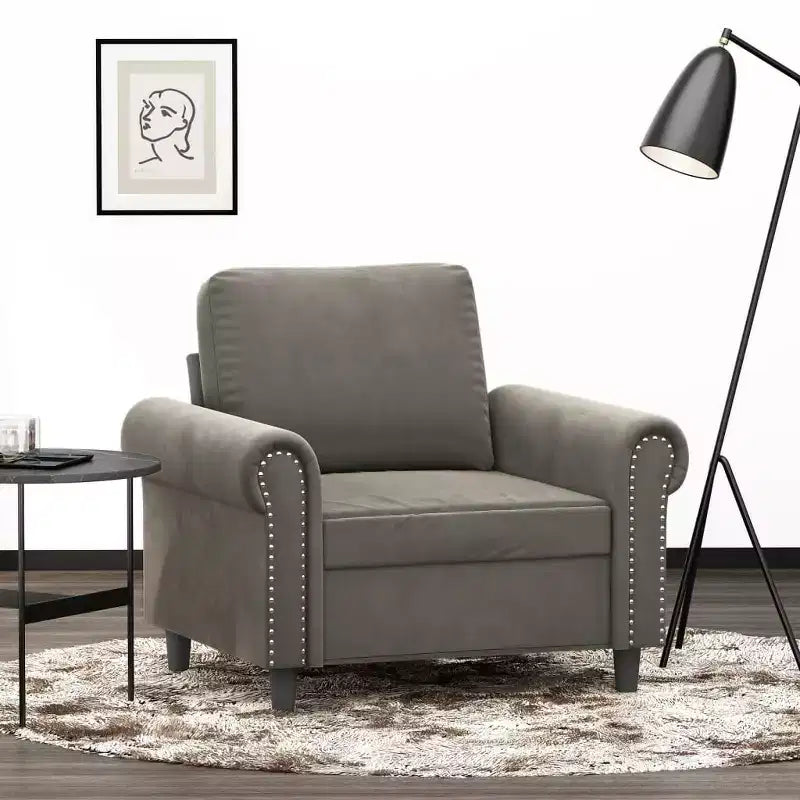 Canapé Fauteuil Velours gris clair (100% polyester), Contreplaqué, Métal, Mousse