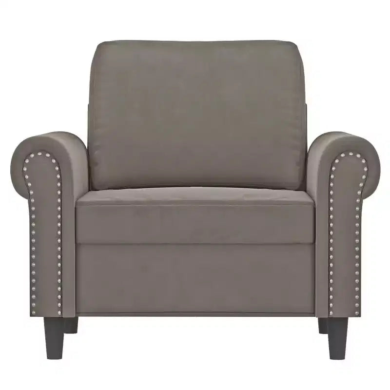 Canapé Fauteuil Velours gris clair (100% polyester), Contreplaqué, Métal, Mousse