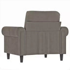 Canapé Fauteuil Velours Gris Clair, Contreplaqué, Métal, Mousse