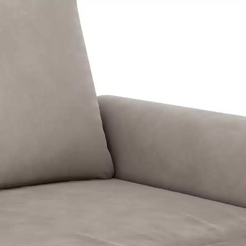 Canapé Fauteuil Velours gris clair (100% polyester), Contreplaqué, Métal, Mousse